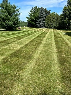 Mowing