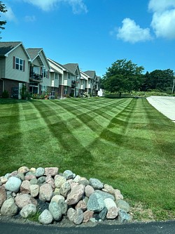 Mowing