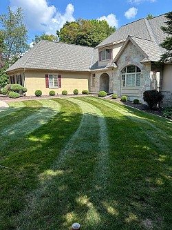Mowing