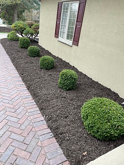 Mulching/pruning