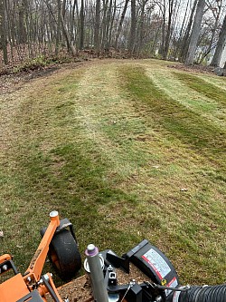 Fall clean up after