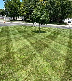Mowing