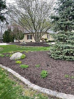 Mulch