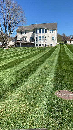 Mowing