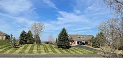 Spring thatching