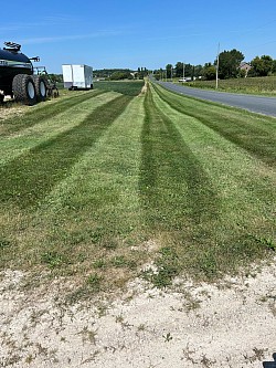 Mowing