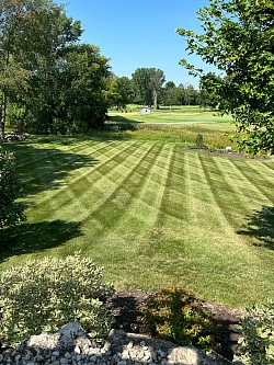 Mowing