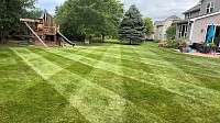 Weekly mowing