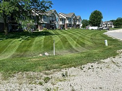 Mowing