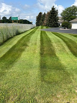 Mowing