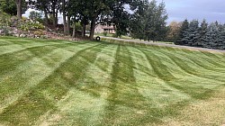 Mowing